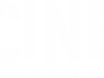 ALCINE - Festival de Cine de Alcalá de Henares